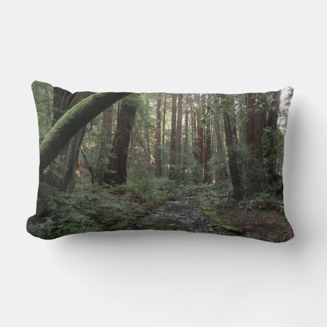 Muir Woods Stream Forest Landschaft Lendenkissen (Vorderseite)