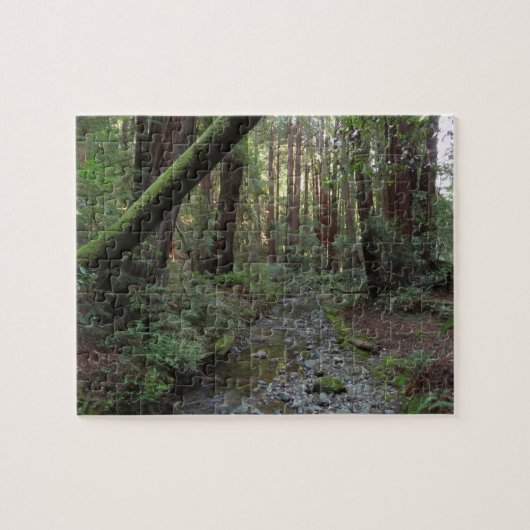 Muir Woods Stream Forest Landschaft Puzzle (Horizontal)
