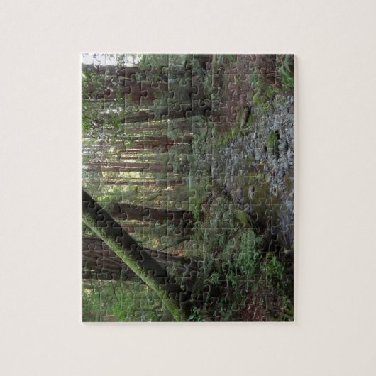 Muir Woods Stream Forest Landschaft Puzzle (Vertikal)