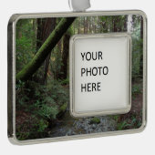 Muir Woods Stream Forest Landschaft Rahmen-Ornament Silber (Rechts)