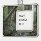 Muir Woods Stream Forest Landschaft Rahmen-Ornament Silber (Links)