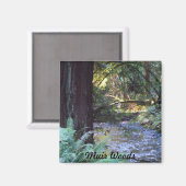 Muir Woods Stream Magnet (Vorderseite/Rückseite)