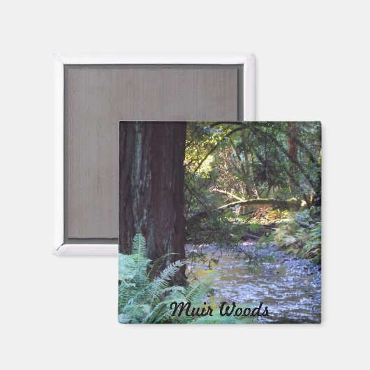 Muir Woods Stream Magnet (Vorderseite/Rückseite)