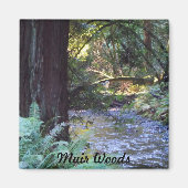 Muir Woods Stream Magnet (Vorne)