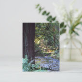 Muir Woods Stream Postkarte (Stehend Vorderseite)