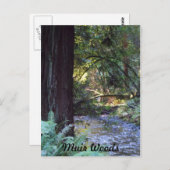 Muir Woods Stream Postkarte (Vorne/Hinten)