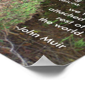 Muir Woods Trees mit Zitat Poster (Ecke)