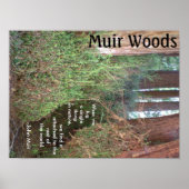 Muir Woods Trees mit Zitat Poster (Vorne)