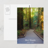 Muir Woods Walkway California Products Postkarte (Vorne/Hinten)