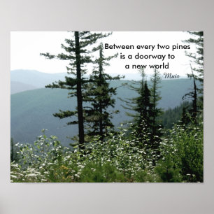 Muir Zitat Poster Naturfotografie Bergkiefer