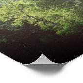 Muir zitieren, die Berge nennen Kiefern Poster (Ecke)