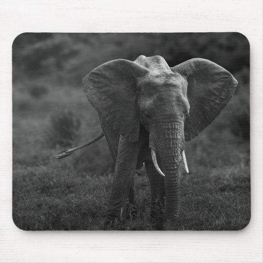 Muismat olifant zwart wit mousepad (Vorne)