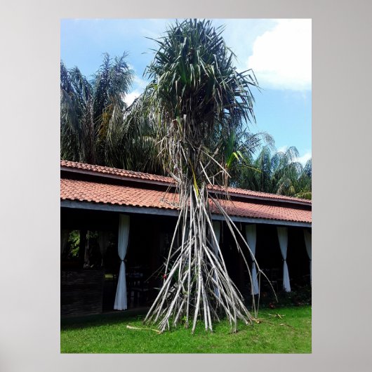 muitas pernas poster (Vorne)