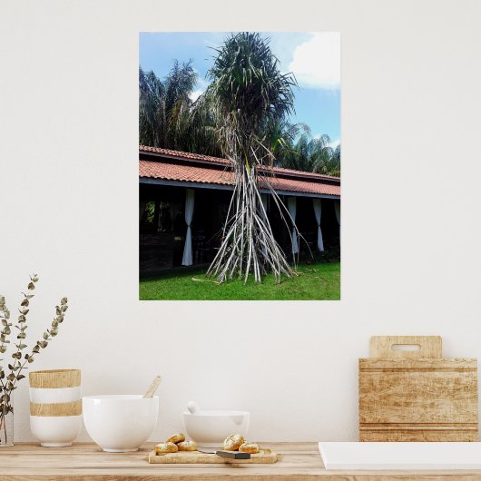 muitas pernas poster (Küche)