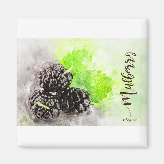 Mulberry Magnet (Vorne)