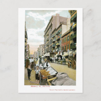 Mulberry St., New York City Postkarte