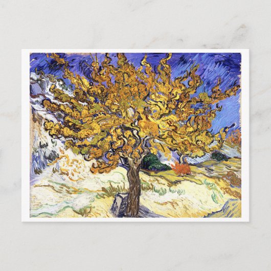 Mulberry Tree, Vincent van Gogh Postkarte (Vorderseite)
