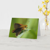 Mulberrywing Karte (Gelbe Blume)