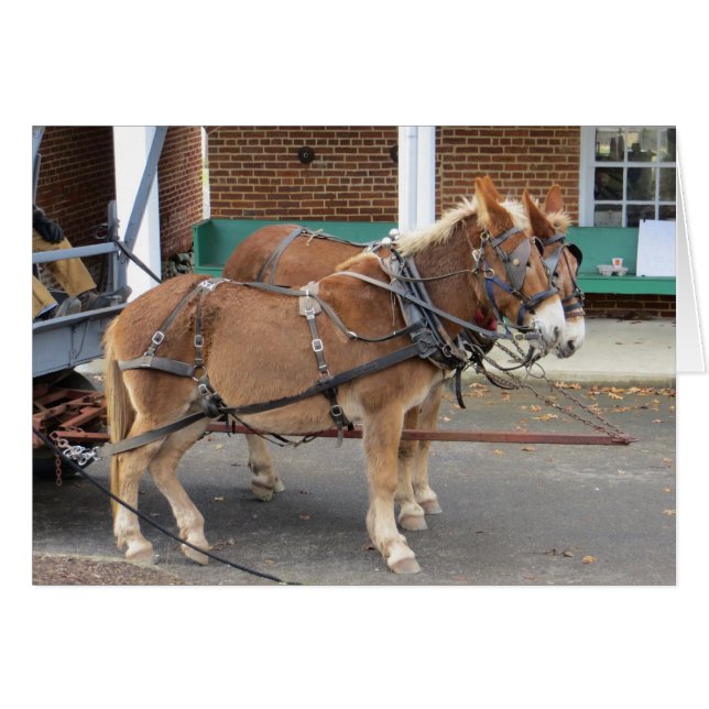 Mule Cart (Vorderseite (Horizontal))