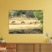 Mule Dee in einem Feld Leinwanddruck (Insitu (Wohnzimmer))
