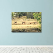 Mule Dee in einem Feld Leinwanddruck (Insitu (Holzboden))