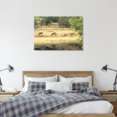 Mule Dee in einem Feld Leinwanddruck (Insitu (Schlafzimmer))