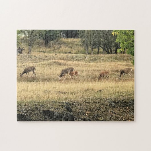 Mule Dee in einem Feld Puzzle (Horizontal)