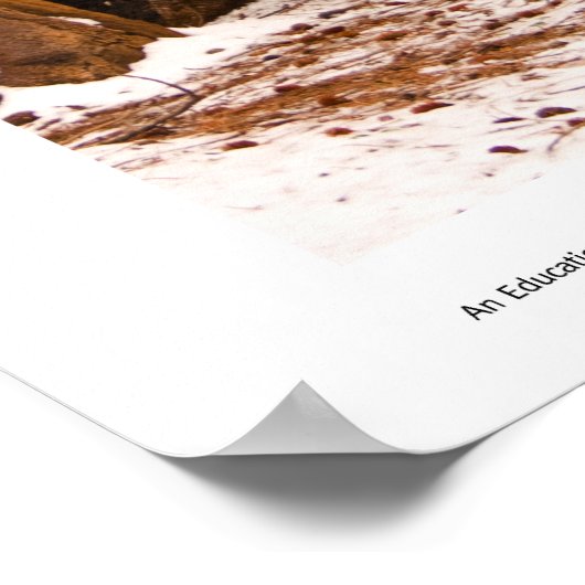 Mule Dee Print Poster (Ecke)