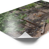 Mule Deer and Fawn Fotodruck (Ecke)