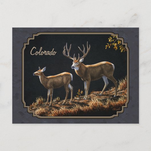 Mule Deer Buck and Doe Gray Custom Postkarte (Vorderseite)