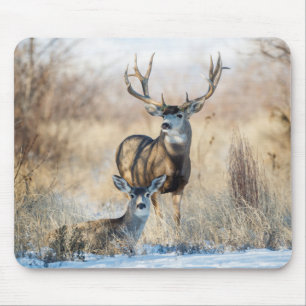 Mule Deer Buck and Doe Mousepad