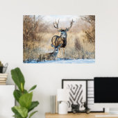 Mule Deer Buck and Doe Poster (Heimbüro)