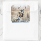 Mule Deer Buck and Doe Quadratischer Aufkleber (Tasche)