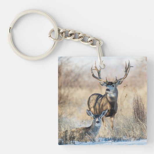 Mule Deer Buck and Doe Schlüsselanhänger (Vorderseite)