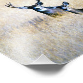 Mule Deer Buck & Doe Digital Fine Art Print Fotodruck (Ecke)