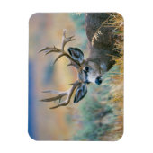Mule Deer Buck | Grand Teton National Park Wyoming Magnet (Vertikal)
