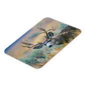 Mule Deer Buck | Grand Teton National Park Wyoming Magnet (Linke Seite)