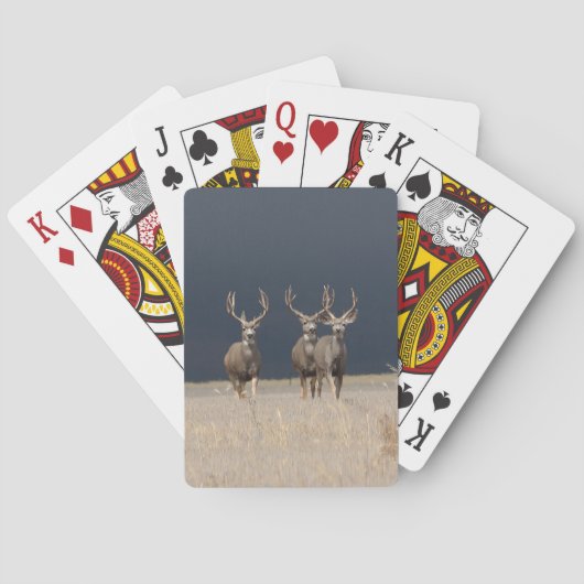 Mule Deer Bucks Bicycle Playing Cards Spielkarten (Rückseite)