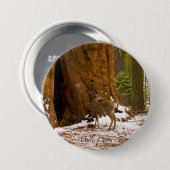 Mule Deer Button (Vorne & Hinten)