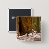 Mule Deer Button (Vorne & Hinten)