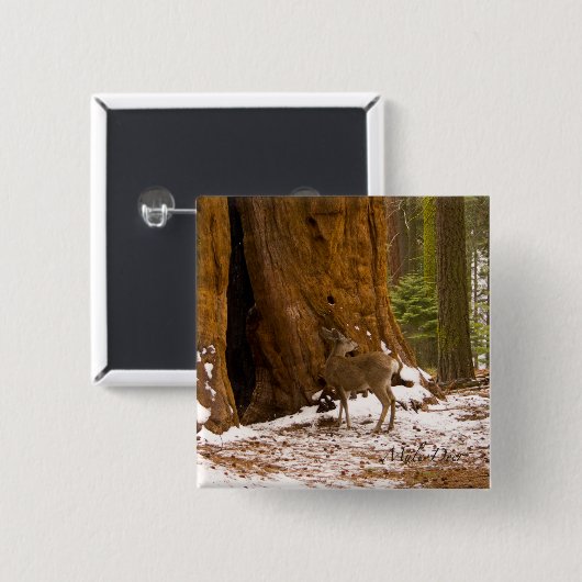 Mule Deer Button (Vorne & Hinten)