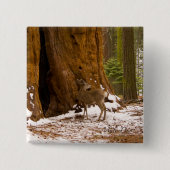 Mule Deer Button (Vorderseite)