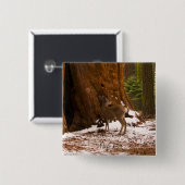 Mule Deer Button (Vorne & Hinten)