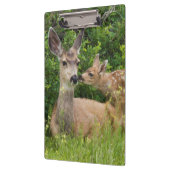 Mule Deer Doe with Fawn Klemmbrett (Links)