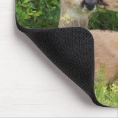 Mule Deer Doe with Fawn Mousepad (Ecke)