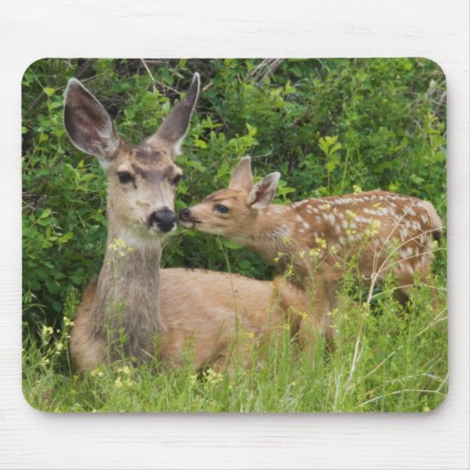 Mule Deer Doe with Fawn Mousepad (Vorne)