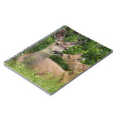 Mule Deer Doe with Fawn Notizblock (Linke Seite)