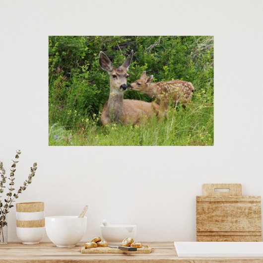 Mule Deer Doe with Fawn Poster (Küche)