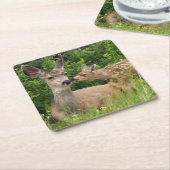 Mule Deer Doe with Fawn Rechteckiger Pappuntersetzer (angewinkelt)