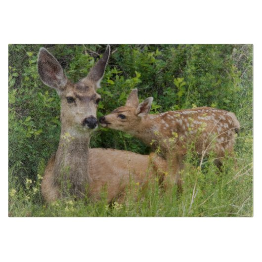 Mule Deer Doe with Fawn Schneidebrett (Vorderseite)